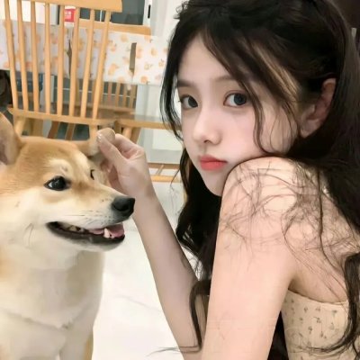 鹰狼突击队