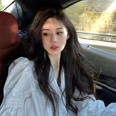 假元首秘纪