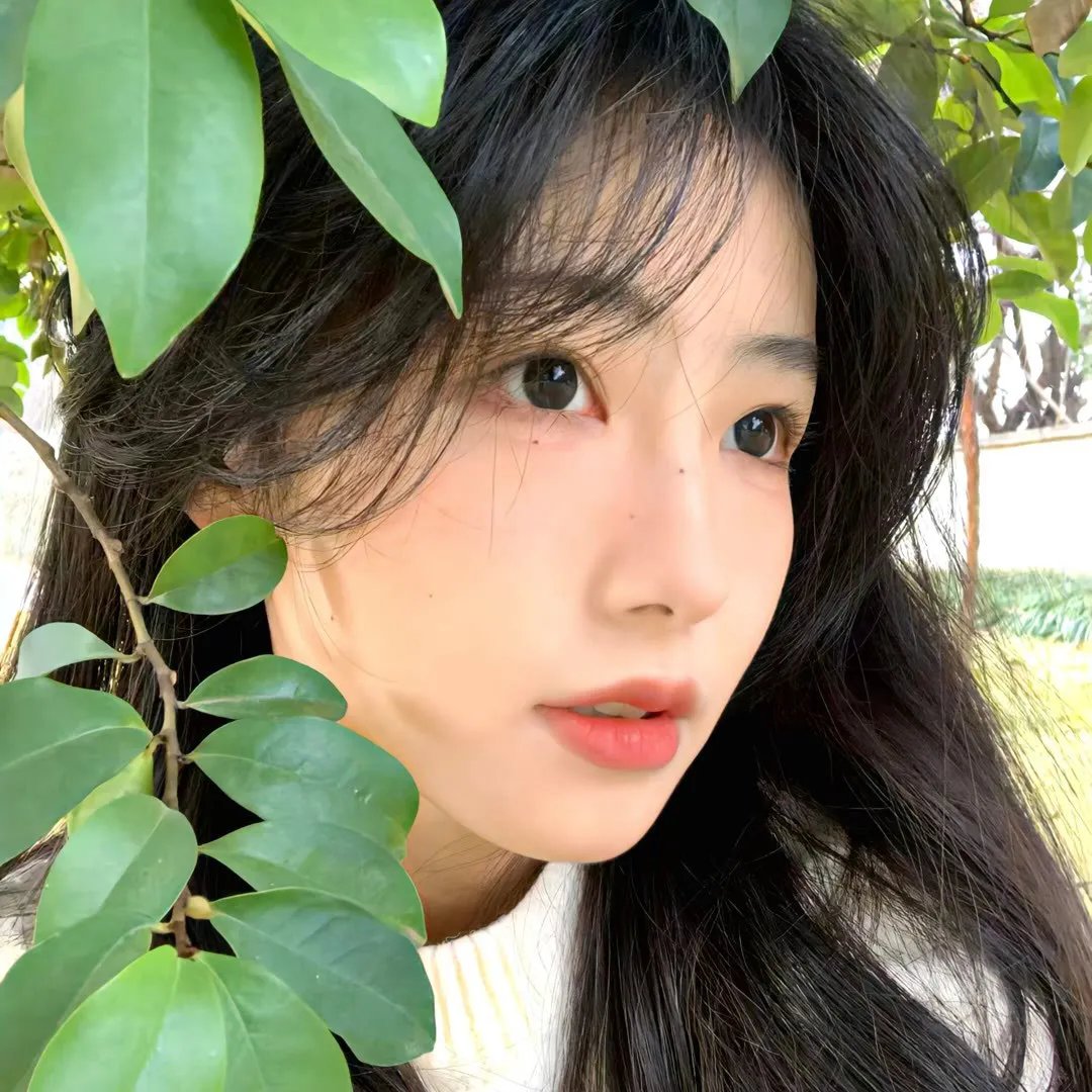 那一天的管风琴